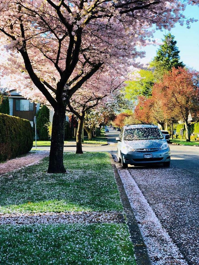 Bed and Breakfast The Sunshine House-Free Parking Vancouver Exterior foto